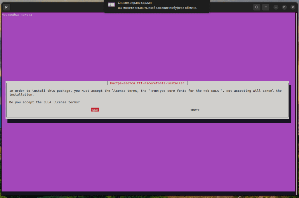 Установка Windows шрифтов в Ubuntu / Debian 24